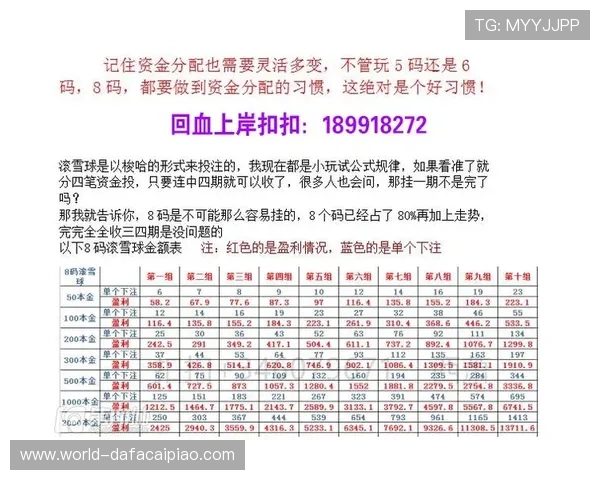极速飞艇投注技巧揭秘与实战策略全面解析指南 极速飞艇投注技巧揭秘与实战策略全面解析指南